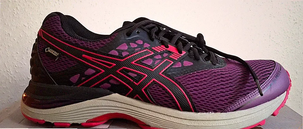 ASICS GEL PULSE 9 GTX Gr. 11 (43,5) TOP RUNNING SCHUH WASSERDICHT - NEU und OVP