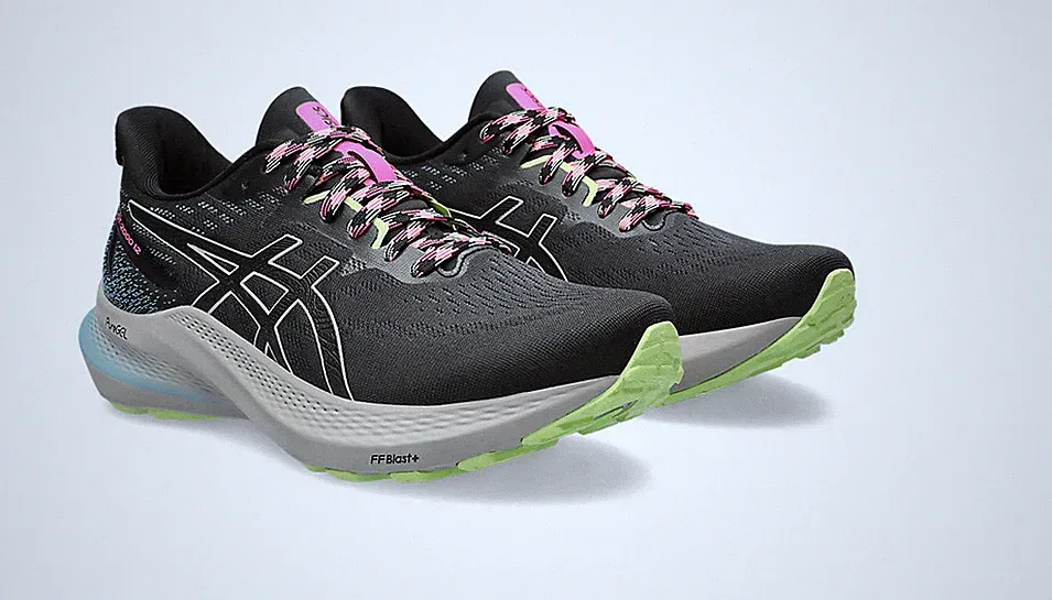 Asics GT-2000 12 TR Laufschuh DA 1012B587-200 Running Jogging Sport Urlaub NEU