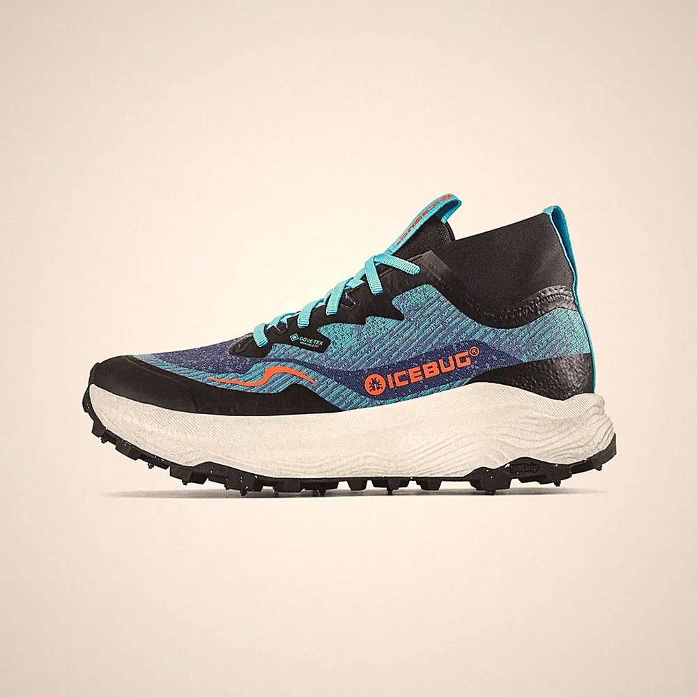 Winter Spikes