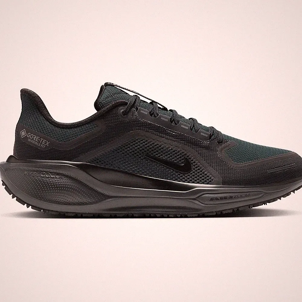 Nike Pegasus 41 GTX Men black Laufschuhe Joggingschuhe Herren