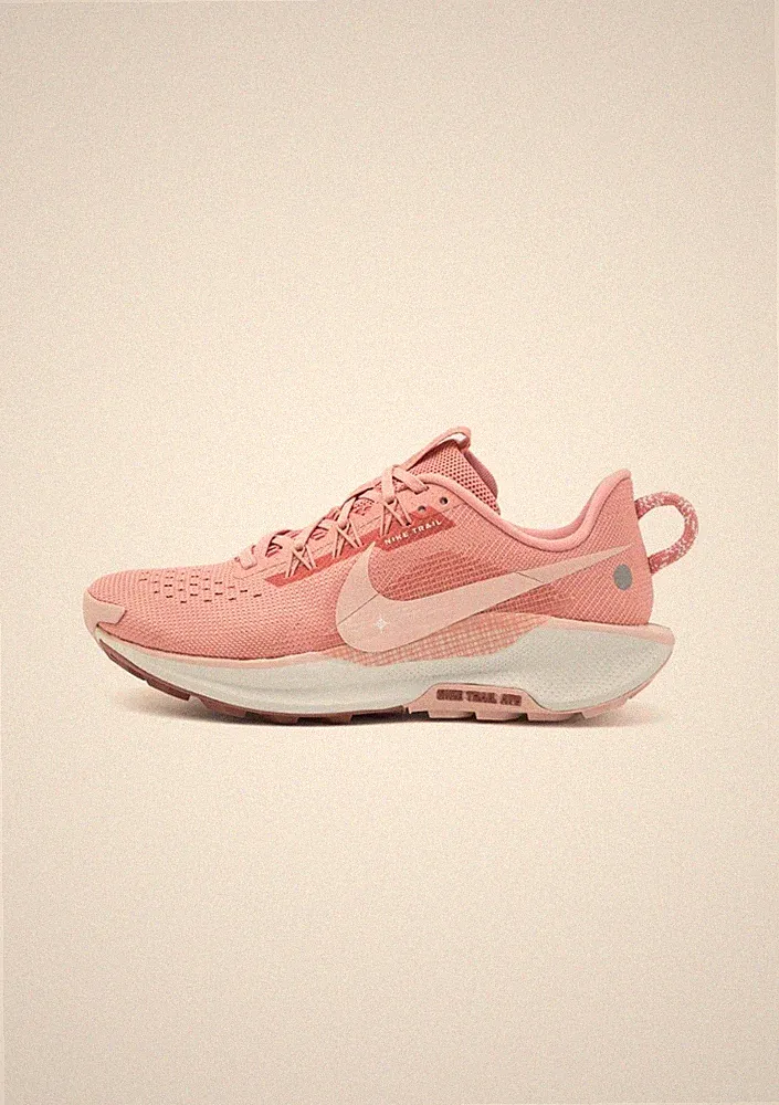 Nike Reactx Pegasus Trail 5 GTX Damen Trail-/Runningschuh DV3865600