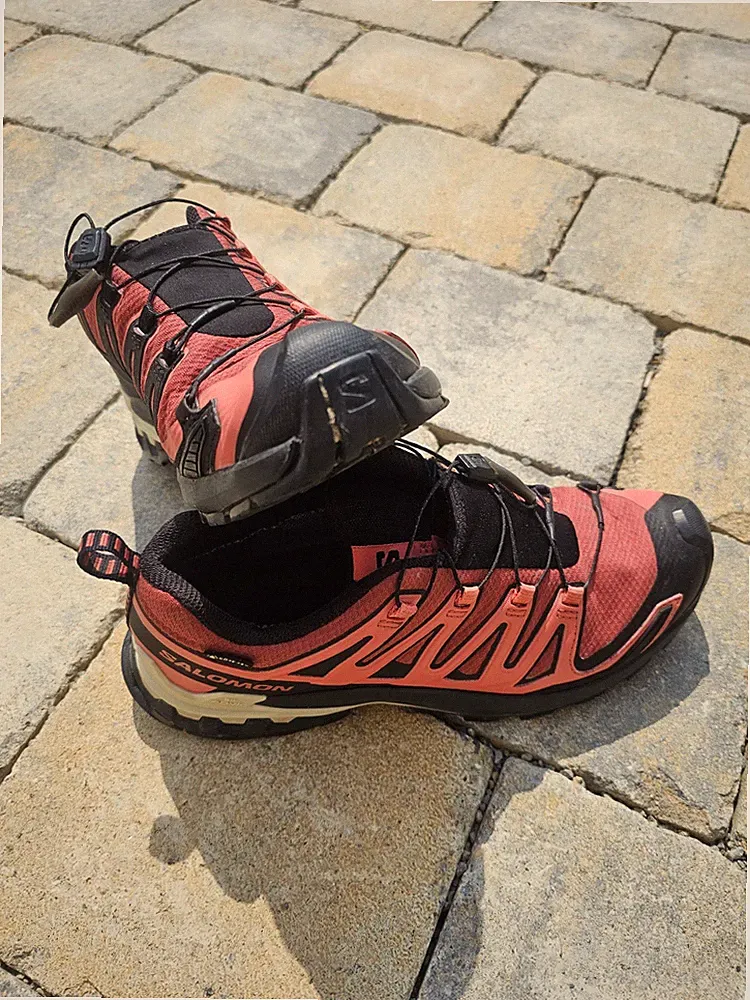 Salomon XA Pro 3D V9 GTX Damen Trailrunningschuhe, Größe 41-42, Guter Zustand