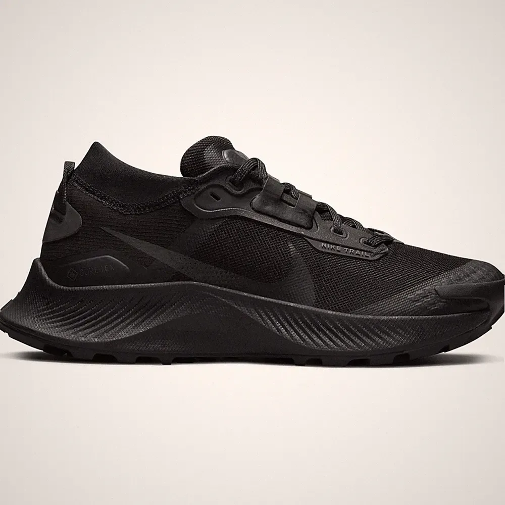 Schuhe Lauf Damen Nike Pegasus Trail 2 Gtx DC8794001 Schwarz